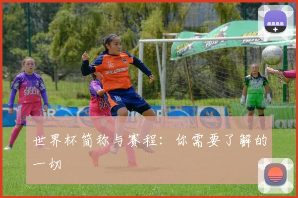 世界杯简称与赛程：你需要了解的一切