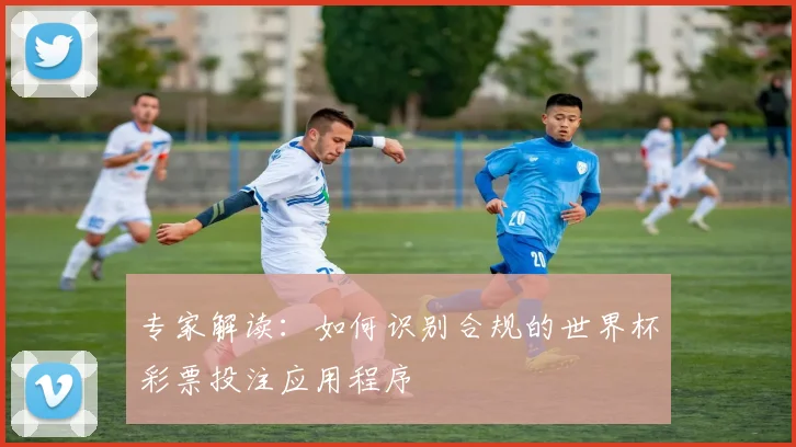 专家解读：如何识别合规的世界杯彩票投注应用程序