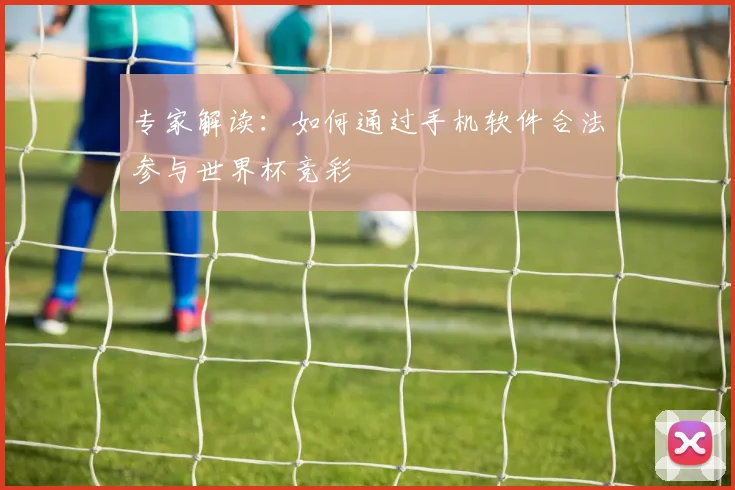 专家解读：如何通过手机软件合法参与世界杯竞彩