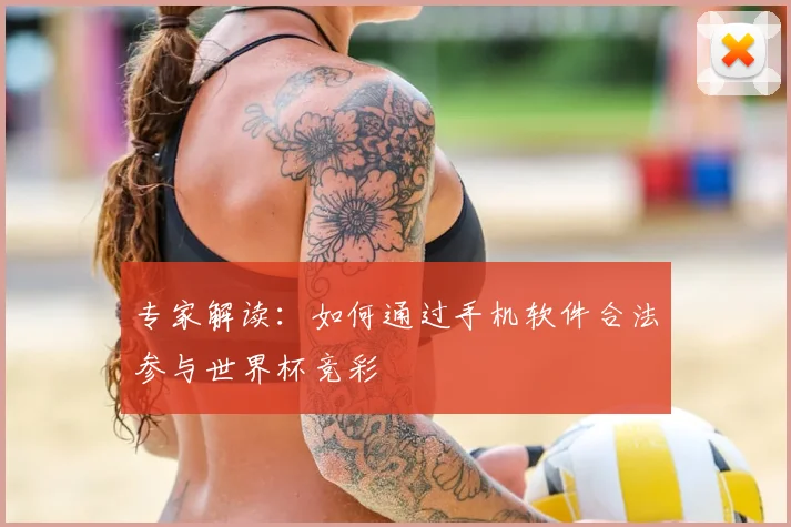 专家解读：如何通过手机软件合法参与世界杯竞彩
