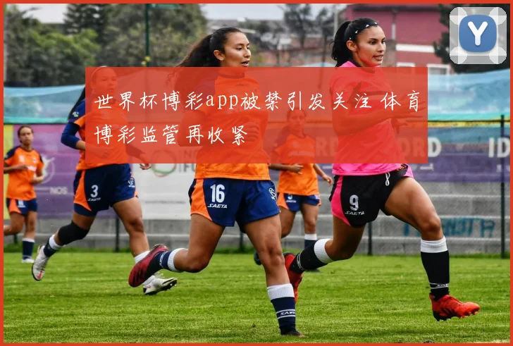 世界杯博彩app被禁引发关注 体育博彩监管再收紧