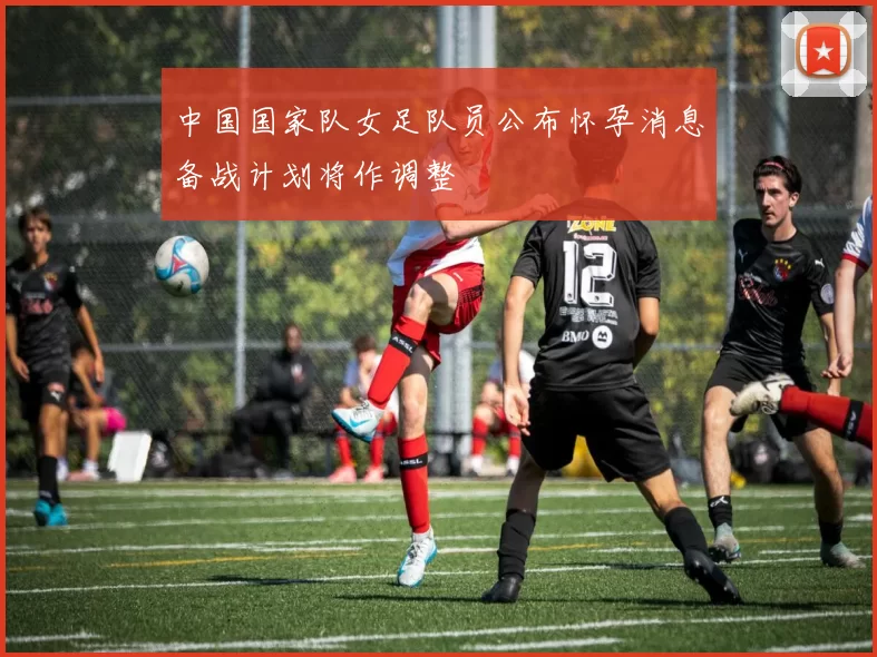 中国国家队女足队员公布怀孕消息备战计划将作调整