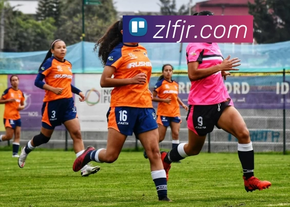 九洲体育官方官网APP 封面图